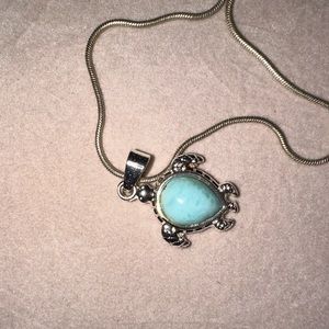 Turtle Necklace